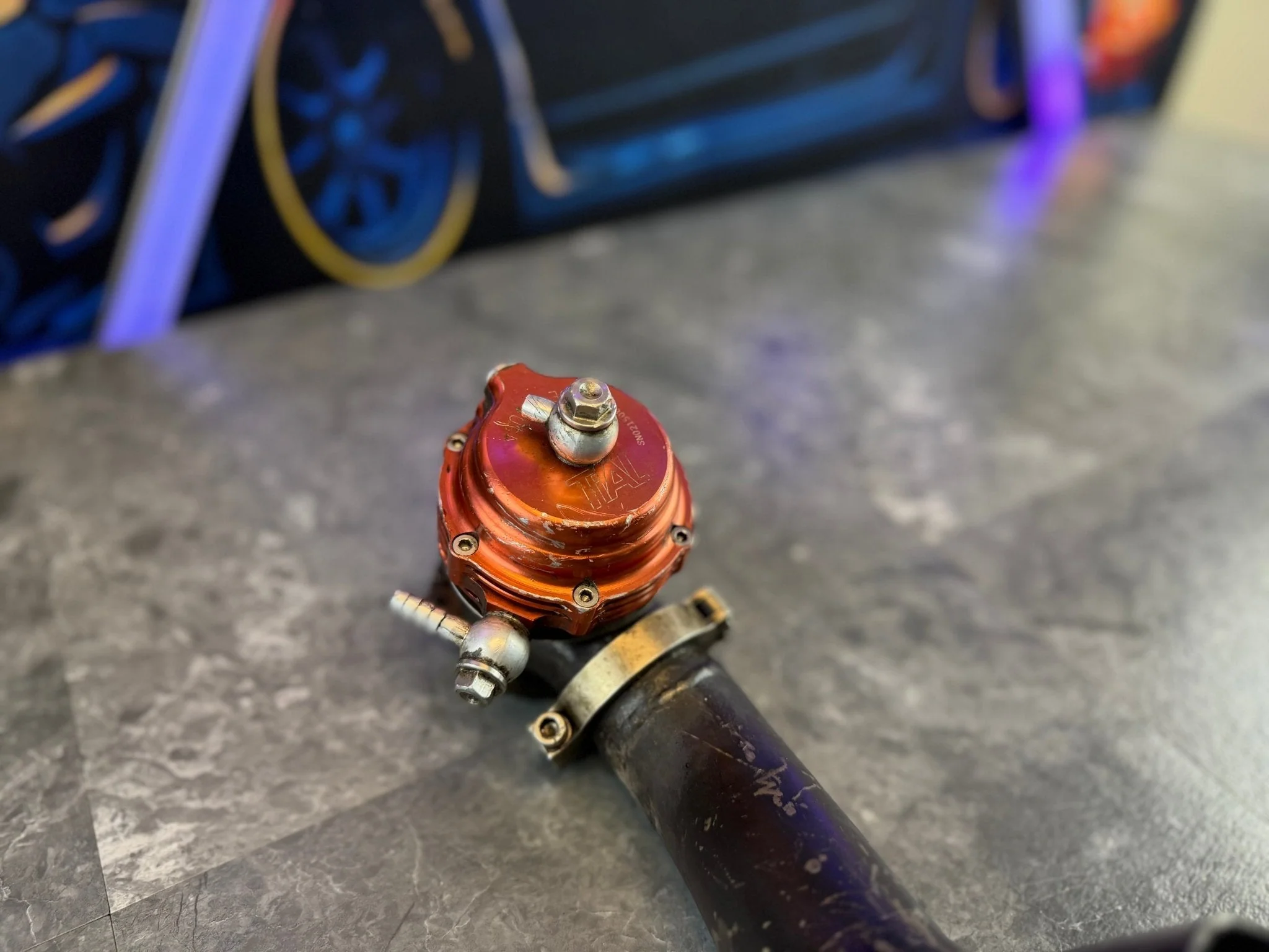 TIAL MVS EWG w/ Grimmspeed Screamer Tube Subaru STi WRX 38mm